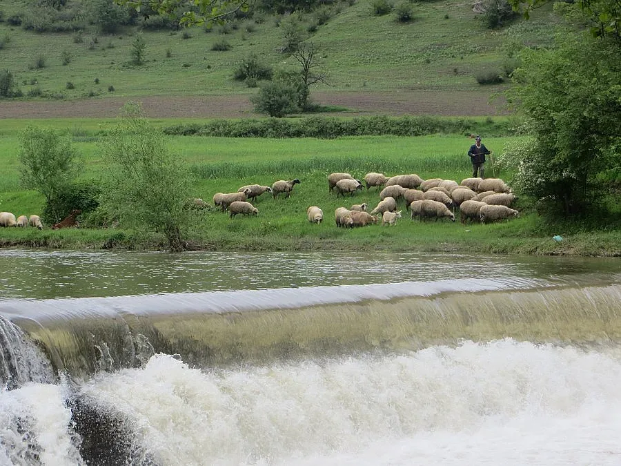 Паника за отровена вода