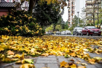 Рязка промяна на времето. Вадете по-дебелите дрехи