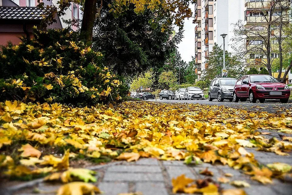 Рязка промяна на времето. Вадете по-дебелите дрехи