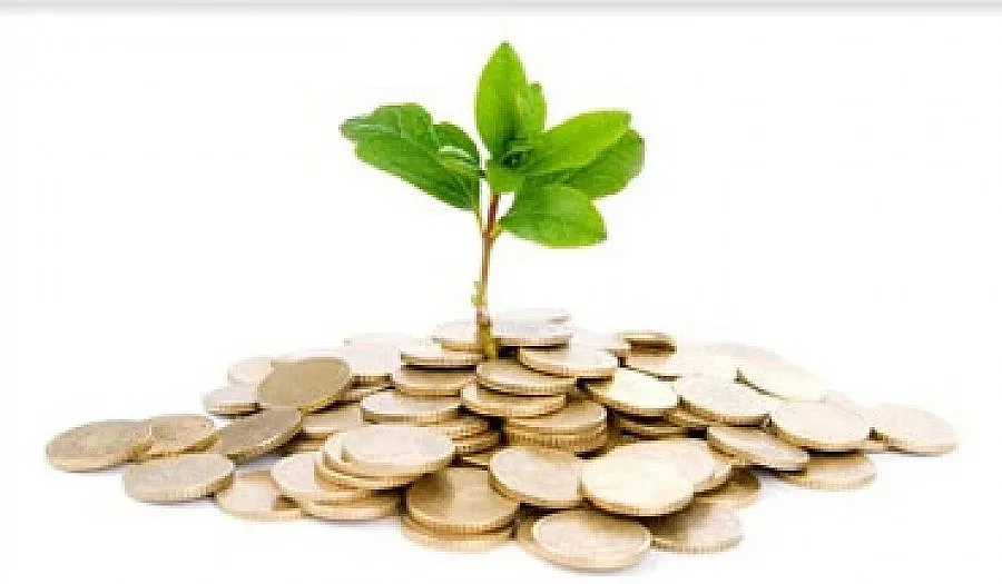 Стабилни малки фирми привличат инвеститори