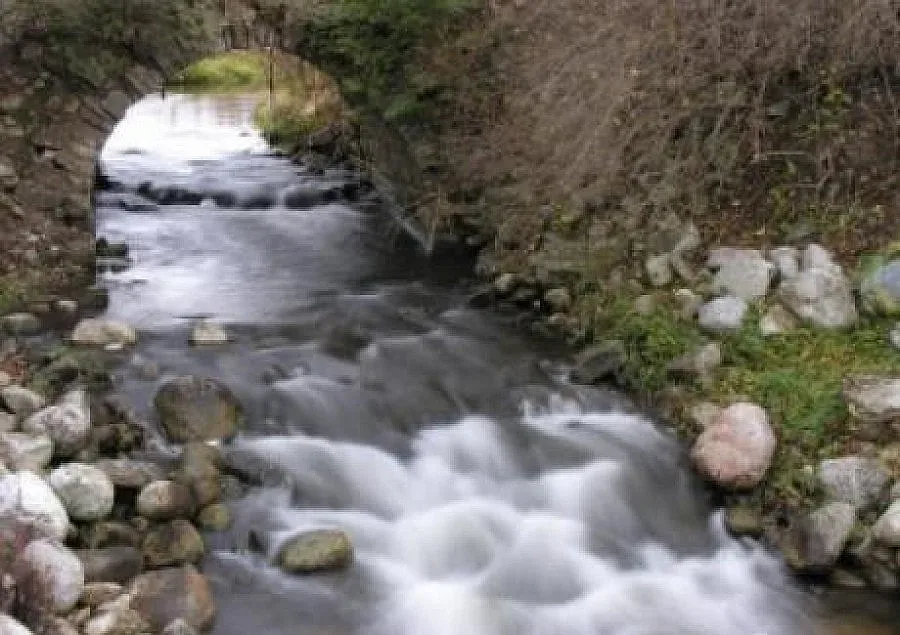 "Асарел-Медет" отрови рибата в Луда Яна