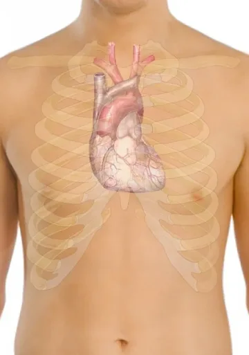 Сърцето на моторист мина вдясно след катастрофа