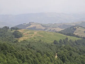Жители на Елешница блокираха път заради 30 000 декара гори