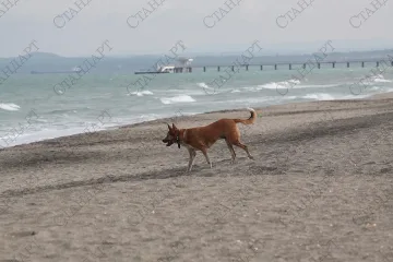 Облаци и дъжд идват от морето