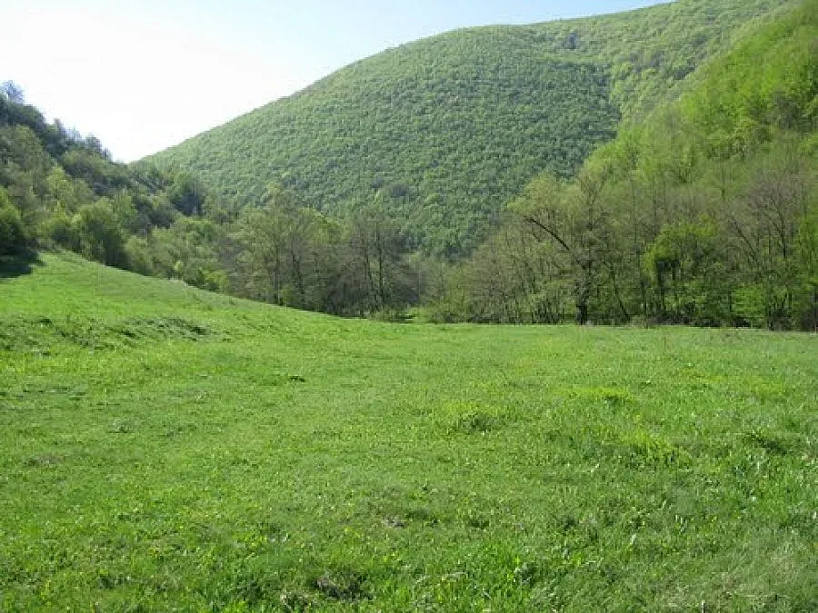 Блокират границата за 20 000 дка гори