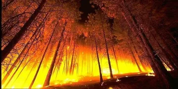 Доброволци от 13 г. гасят пожари в община Сатовча
