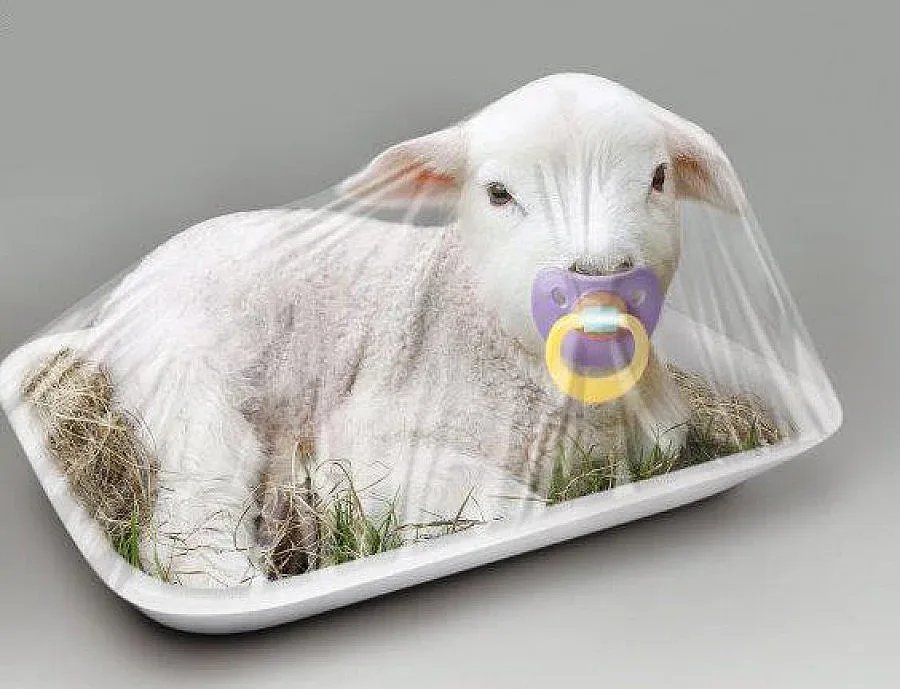 Ин и Ян на агнешкото