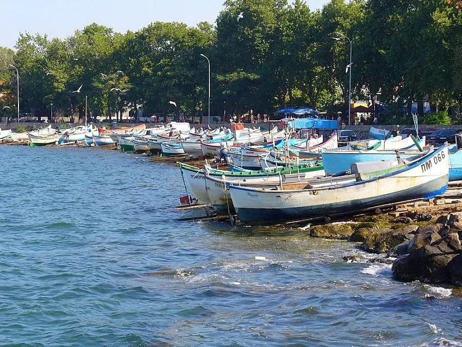 Спипаха бракониери с незаконни мрежи край Поморие