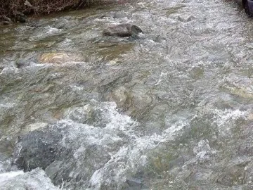 Главният път за Плевен бе залян