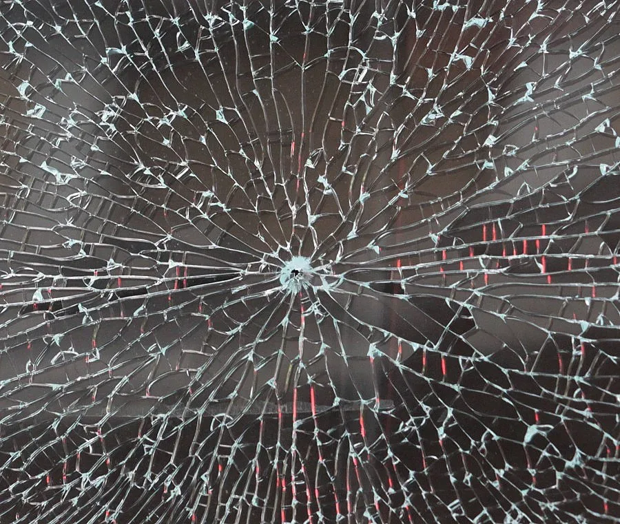 Брат на риалити герой простреля мъж в сърцето