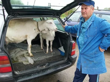 6 лв. за килограм ярешко на пазара в Благоевград