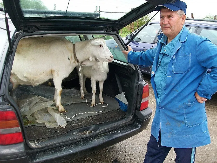 6 лв. за килограм ярешко на пазара в Благоевград