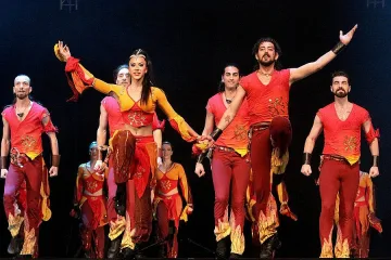 Огнена еволюция омая естети