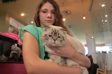 Котка-сова дефилира в София