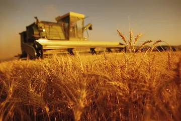 Три стълба за БГ зеленчуците