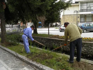 Хиляди дървета, цветя и храсти засадиха в Разлог