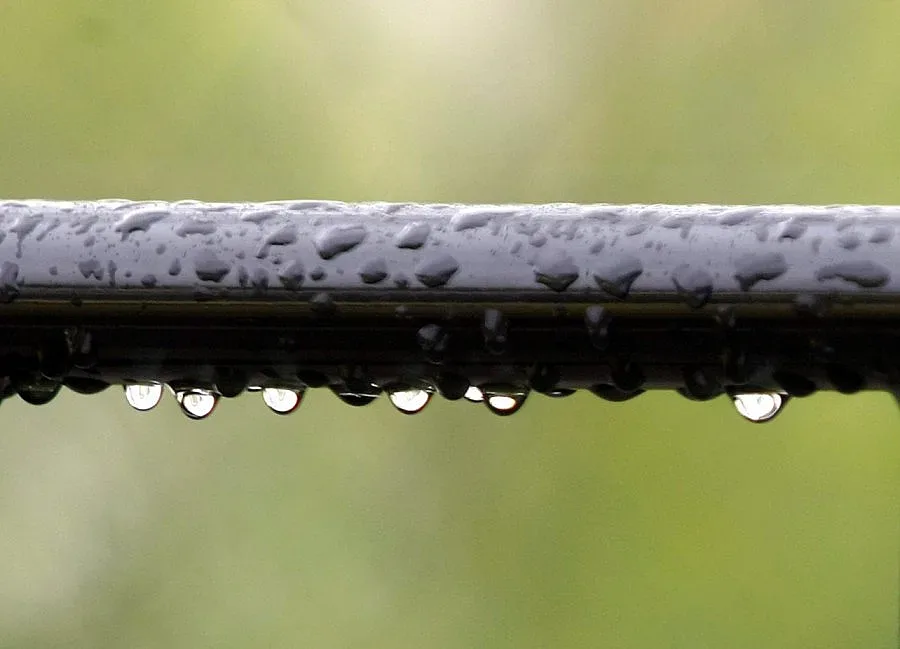 Дъждът спира и дава път на слънцето