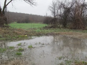 Обявиха бедствено положение в община Ружинци