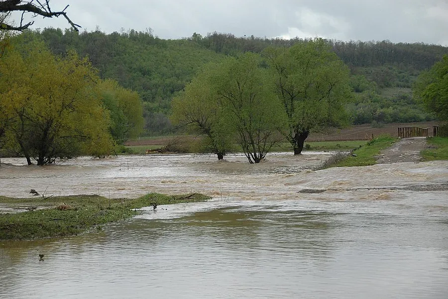 Приливна вълна потопи селата Плешивец и Гюргич