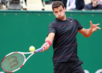 Григор:  Някой ден ще напиша книга