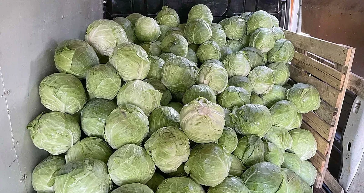 Стоковата борса: Най-важният зеленчук за зимата поскъпва