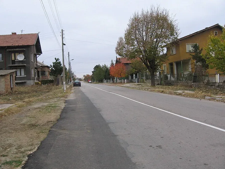 13-годишен застреля куче с пушката на баща си