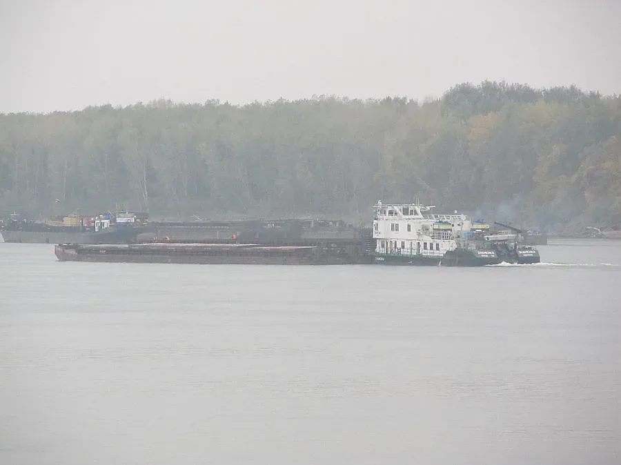 Моряшки библиотеки отварят по Дунава