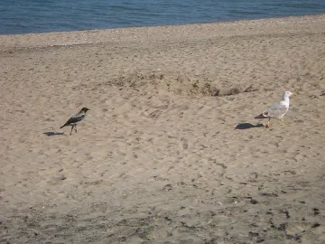 Отварят плажовете след Великден