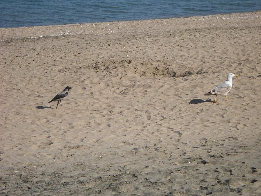 Отварят плажовете след Великден