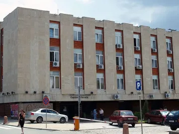 Котка пресича натоварена улица само по пешеходна улица