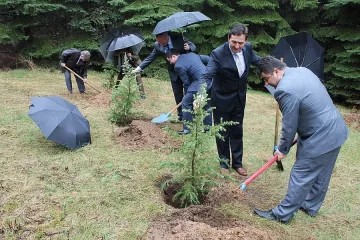 Кметове и горски шефове засадиха фиданки  в района  на  „Белите брези”