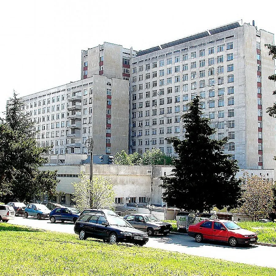 Забързана дама потроши тийнейджърка на зебра 