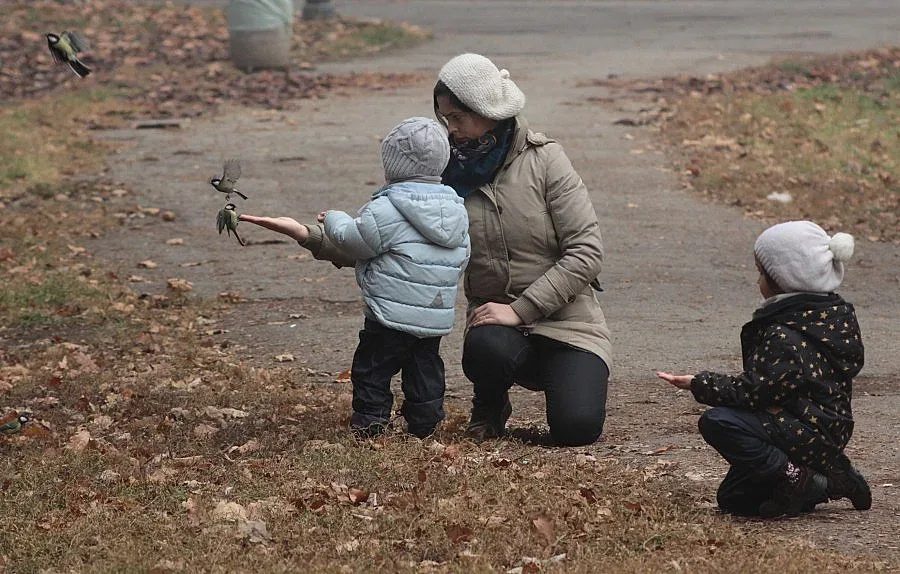 Над 100 хил. сигнала за деца в риск през 2013 г.
