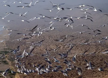 Облаците дават път на слънцето