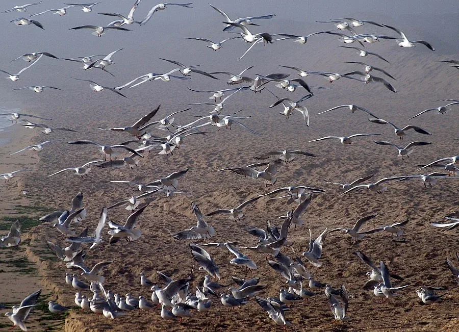 Облаците дават път на слънцето