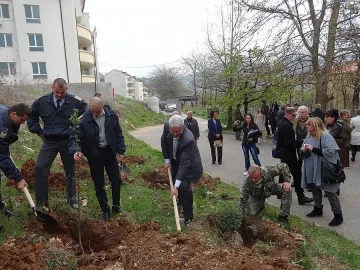 Губернатор сади фиданки за Седмица на гората