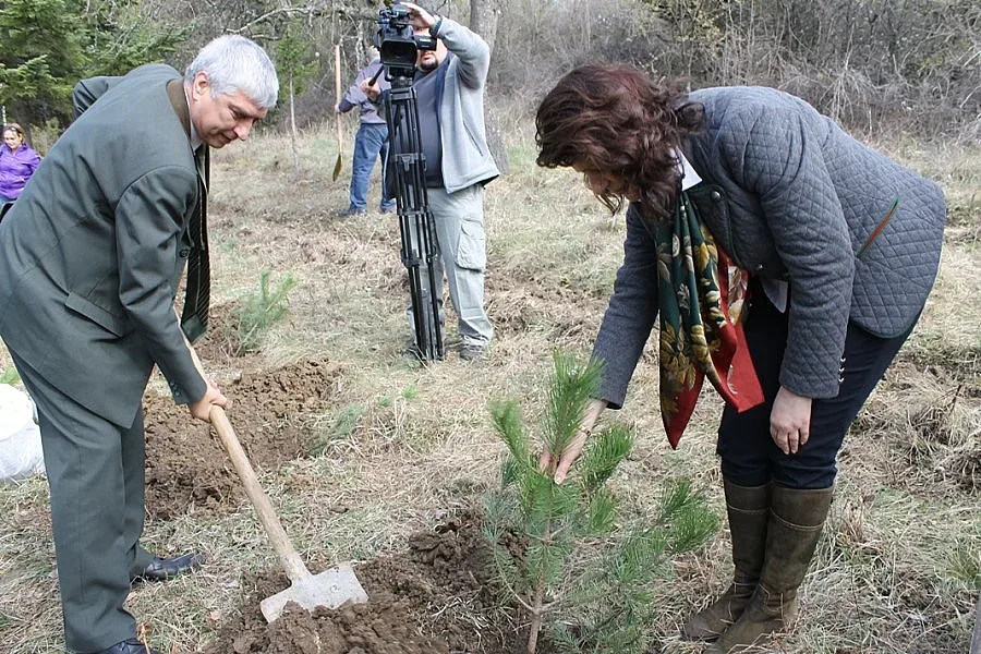 Купуват с европари машини за мебели