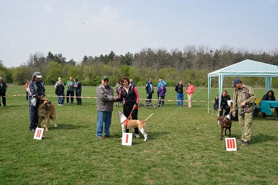 26 кучета с дефиле в Бърдарски геран