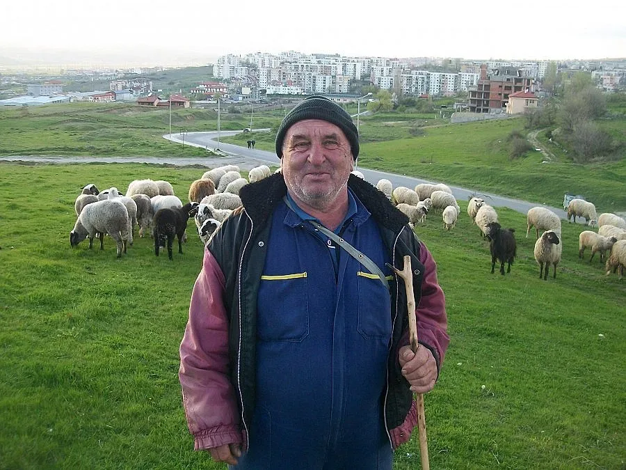 Пастири стягат опълчение срещу крадци