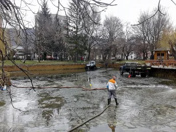 Разлог с пролетна оборка