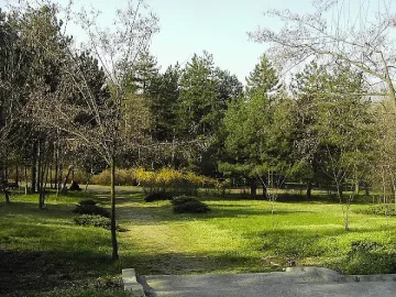 В Кърджали започна обработването на  зелените площите  срещу кърлежи