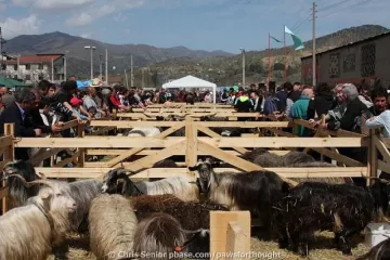 Редки породи кози и кучета с дефиле в Кресна