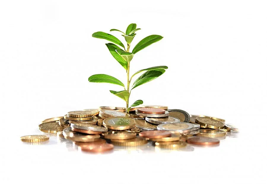 12 на сто по-малко чужди инвестиции в Добричка област