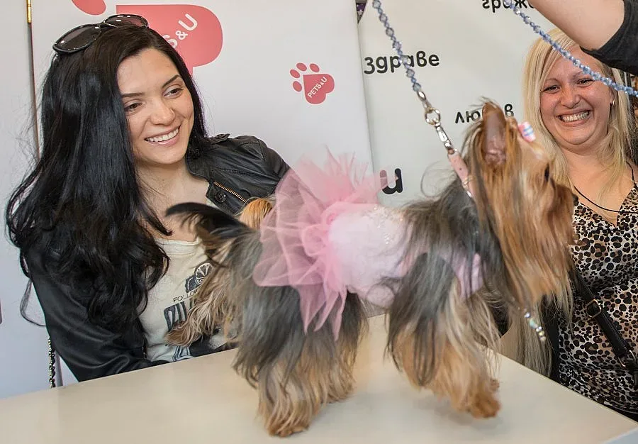 Ели Гигова журира кучета