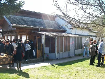 Властелинът на Рупите