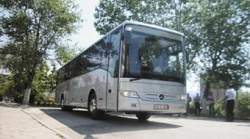 17-годишен заби краден рейс в каменна ограда