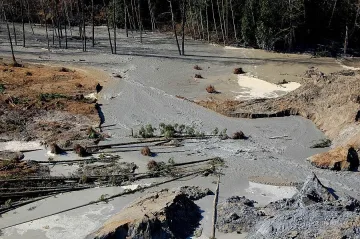 176 са в неизвестност след свлачището в САЩ