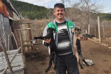 Овчари и пчелари в паника от "Дънди"