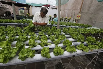 Търсят с конкурс стопани на дивеч