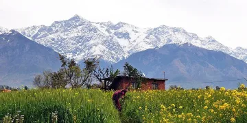 Бизнес в Хонконг се стартира за 24 часа